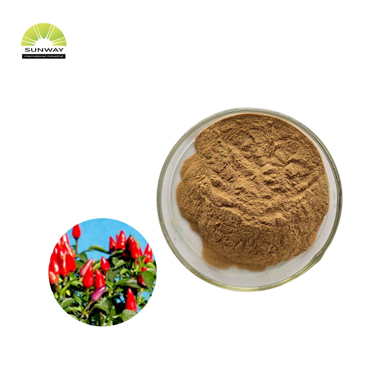 SUNWAY جنت کے بیجوں کے عرق کے GMO مفت اناج Aframomum Melegueta Extract پاؤڈر اناج