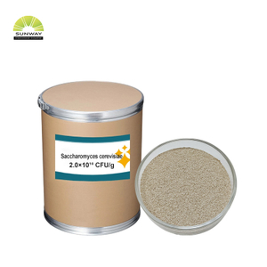 فیکٹری 20 ارب ساکرمیسیسس سیریویسیا بریورز خمیر پاؤڈر جانوروں کے کھانے کے لئے پولٹری مویشیوں کے سور مویشیوں کی بھیڑ کے لئے اضافی