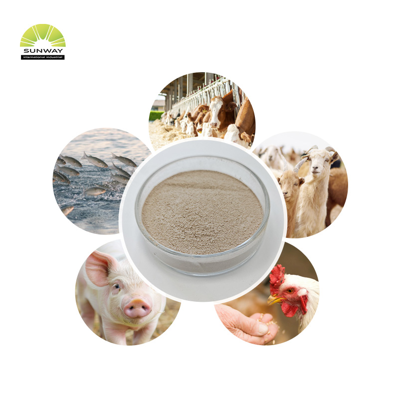 جانوروں کے کھانے کے لئے پولٹری کے لئے گریڈ Xylanase انزائم تھرموسٹ ایبل xylanase فیڈ