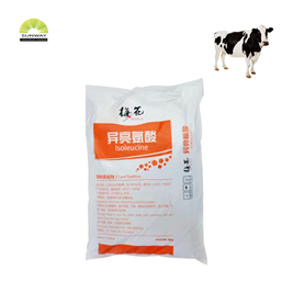 فیڈ گریڈ امینو ایسڈ isoleucine 99 ٪