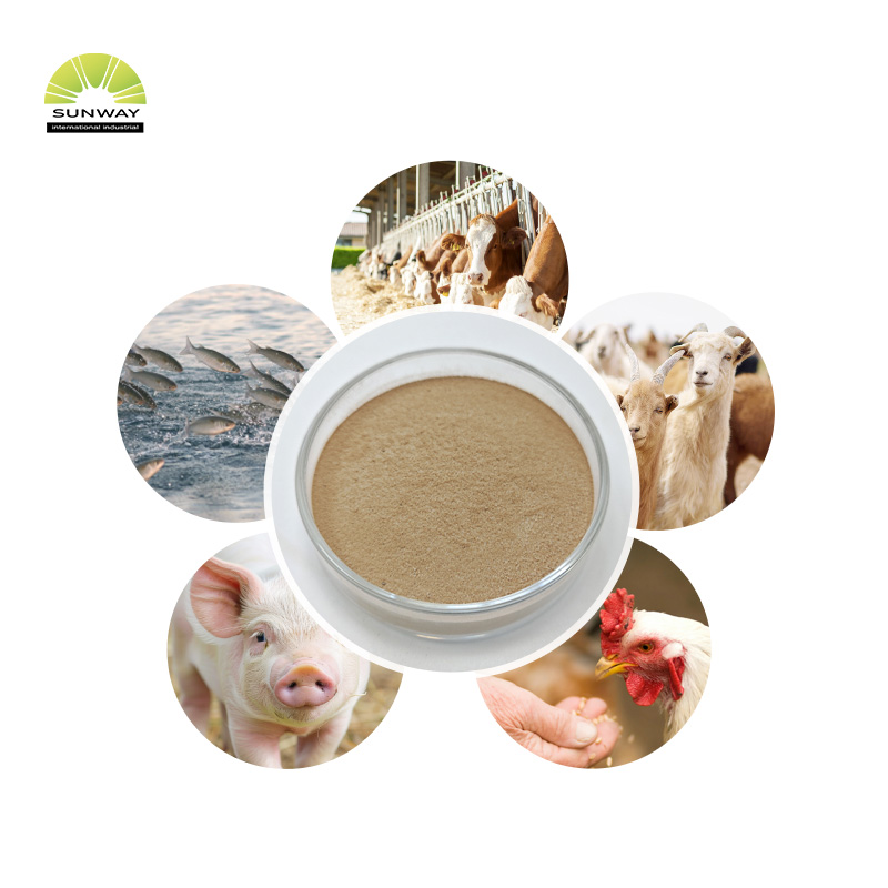 اعلی معیار کا ترموسٹیبل الفا امیلیس انزائم پاؤڈر قیمت