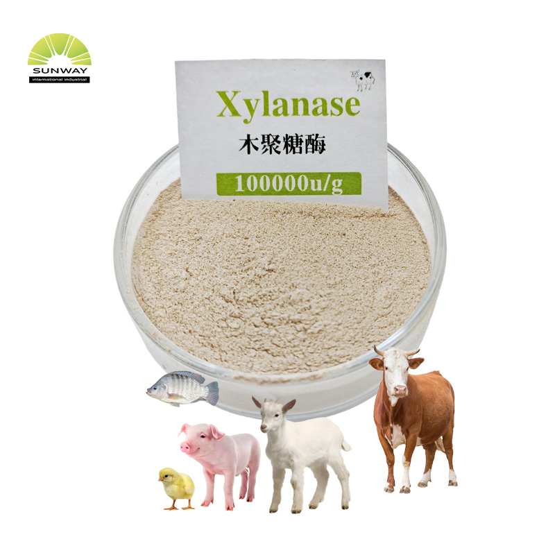 جانوروں کے کھانے کے لئے پولٹری کے لئے گریڈ Xylanase انزائم تھرموسٹ ایبل xylanase فیڈ