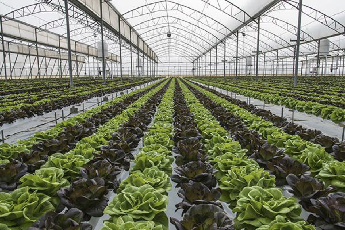 81DB586A-352E-4F7D-8369-28DEA62C11FA.